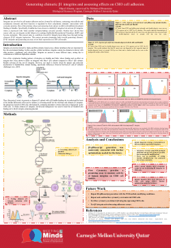 Generating chimeric β1 integrins and assessing effects on CHO cell adhesion.