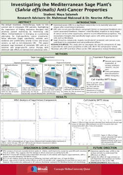 Investigating the Mediterranean Sage Plant’s (Salvia officinalis) Anti-Cancer Properties