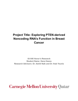 Exploring PTEN-derived Noncoding RNA’s Function in Breast Cancer