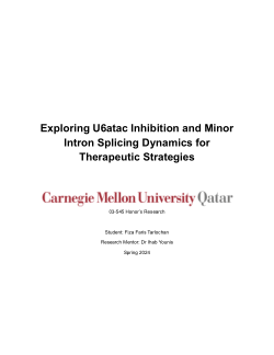 Exploring U6atac Inhibition and Minor Intron Splicing Dynamics for Therapeutic Strategies