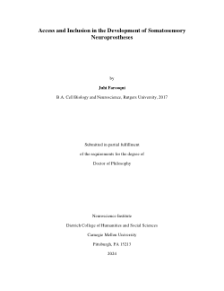 Access and Inclusion in the Development of Somatosensory Neuroprostheses
