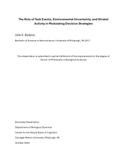 The Role of Task Events, Environmental Uncertainty, and Striatal  Activity in Modulating Decision Strategies