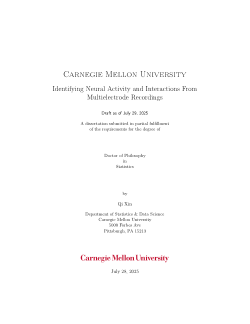 Identifying Neural Activity and Interactions from Multielectrode Recordings