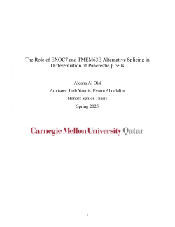 The Role of EXOC7 and TMEM63B Alternative Splicing in Differentiation of Pancreatic β cells