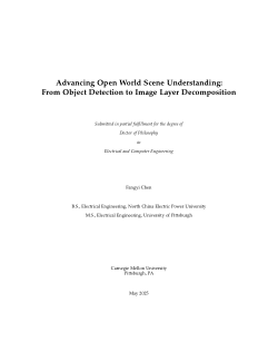 Advancing Open World Scene Understanding: From Object Detection to Image Layer Decomposition