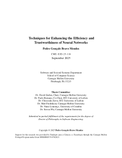 Techniques for Enhancing the Efficiency and Trustworthiness of Neural Networks