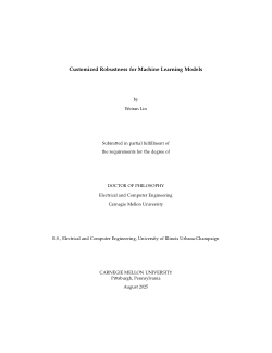 Customized Robustness for Machine Learning Models