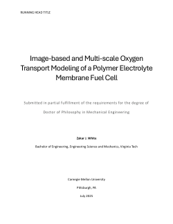 Image-based and Multi-scale Oxygen Transport Modeling of a Polymer Electrolyte Membrane Fuel Cell