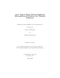 Low Aspect Ratio Nature-Inspired Micropatterned Surfaces for Tunable Adhesion