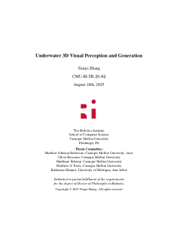 Underwater 3D Visual Perception and Generation