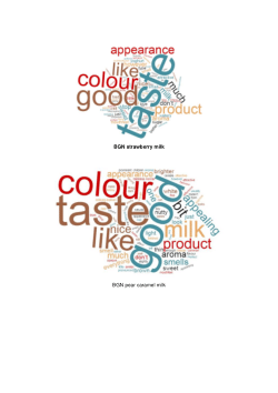 Sensory word cloud of Bambara groundnut milk products