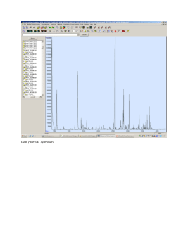 Crop yields, secondary metabolites and anti-fungal activities of extracts of <i>Helichrysum cymosum </i>and <i>Helichrysum odoratissimum </i>cultivated in aquaponics