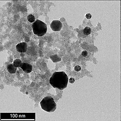 Green Synthesis and Characterization of Alloy Nanoparticles Using Plant Extracts