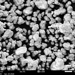 Iron precipitation kinetics during microbial ferrous-ion oxidation