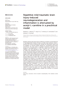 how should i take acetyl l carnitine Acetyl-L-Carnitine 750 mg Tablets