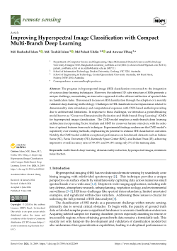 Improving hyperspectral image classification with compact multi-branch deep learning