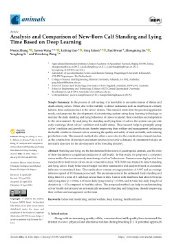 Analysis and comparison of new-born calf standing and lying time based on deep learning