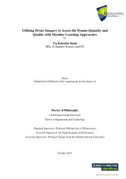Utilising Drone Imagery to Assess the Peanut Quantity and Quality with Machine Learning Approaches