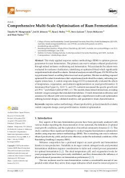 Comprehensive multi-scale optimisation of rum fermentation