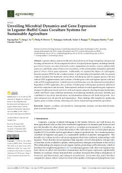 Unveiling Microbial Dynamics and Gene Expression in Legume–Buffel Grass Coculture Systems for Sustainable Agriculture