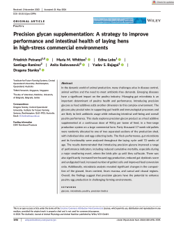 Precision glycan supplementation: A strategy to improve performance and intestinal health of laying hens in high-stress commercial environments
