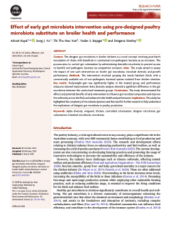 Effect of early gut microbiota intervention using pre-designed poultry microbiota substitute on broiler health and performance