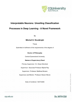 Interpretable Neurons: Unveiling Classification Processes in Deep Learning - A Novel Framework