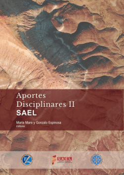 The world through the prism of meaning: Noun categorization devices and the ecology of language