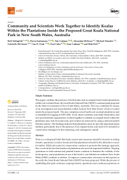 Community and Scientists Work Together to Identify Koalas Within the Plantations Inside the Proposed Great Koala National Park in New South Wales, Australia