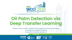 Presentation of "Oil Palm Detection via Deep Transfer Learning" at IEEE WCCI 2020