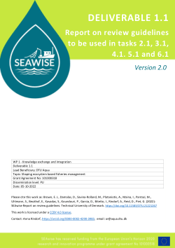 SEAwise Report on review guidelines