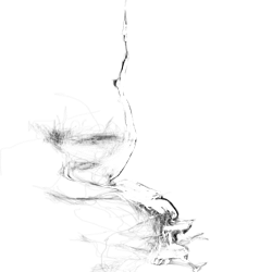 Danish brown shrimp fishery