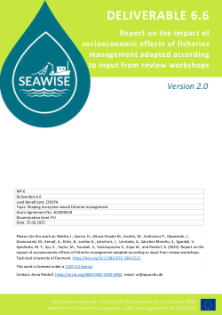SEAwise report on the impact of socioeconomic effects of fisheries management adapted according to input from review workshops