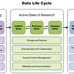 DTU Research Data Life Cycle