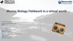 Marine Biology Fieldwork in a Virtual World