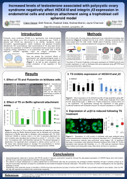 Increased levels of testosterone associated with polycystic ovary syndrome negatively affect HOXA10 and integrin b3 expression in endometrial cells and embryo attachment using a trophoblast cell spheroid model