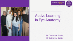 Active Learning in Eye Anatomy
