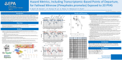 Hazard Metrics, Including Transcriptomic-Based Points of Departure, for Fathead Minnow (Pimephales promelas) Exposed to 20 PFAS