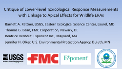 Critique of Lower-level Toxicological Response Measurements  with Linkage to Apical Effects for Wildlife ERAs
