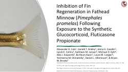 Inhibition of Fin Regeneration in Fathead Minnow (Pimephales promelas) Following Exposure to the Synthetic Glucocorticoid, Fluticasone Propionate