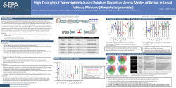 High Throughput Transcriptomic-based Points of Departure Across Modes of Action in Larval Fathead Minnow (Pimephales promelas)