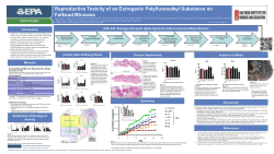 Reproductive Toxicity of an Estrogenic Polyfluoroalkyl Substance on Fathead Minnows