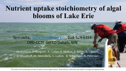 Nutrient uptake stoichiometry of algal blooms of Lake Erie