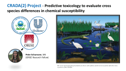 CRADA(2) Project - Predictive toxicology to evaluate cross species differences in chemical susceptibility
