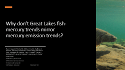 Why don’t Great Lakes fish-mercury trends mirror mercury emission trends?