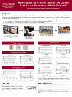 Morphological and Molecular Techniques to Support Detection and Management of Ballast-Borne AIS