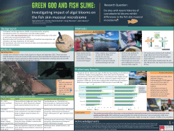 Green Goo and Fish Slime: Investigating Impact of Algal Blooms on Fish Skin Mucosal Microbiome