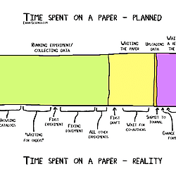 Time spent on papers