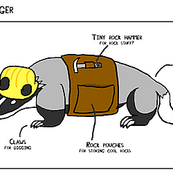 Geology badger