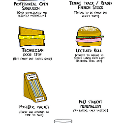 Sandwiches of academia